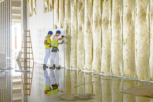 Best Attic Insulation Installation  in Cross City, FL